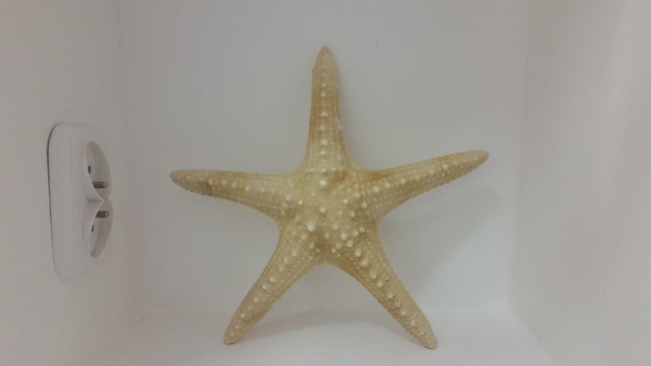 דירות סופוט Apartament Bryza מראה חיצוני תמונה
